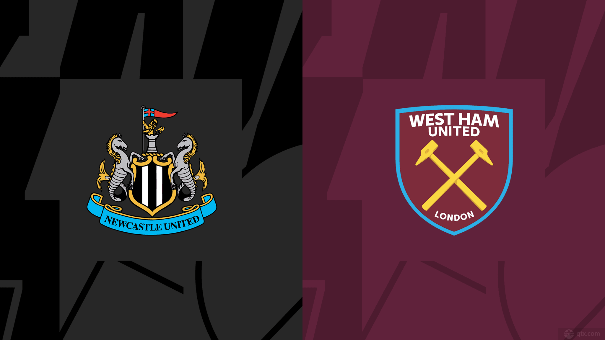 在排球的世 在排球的世