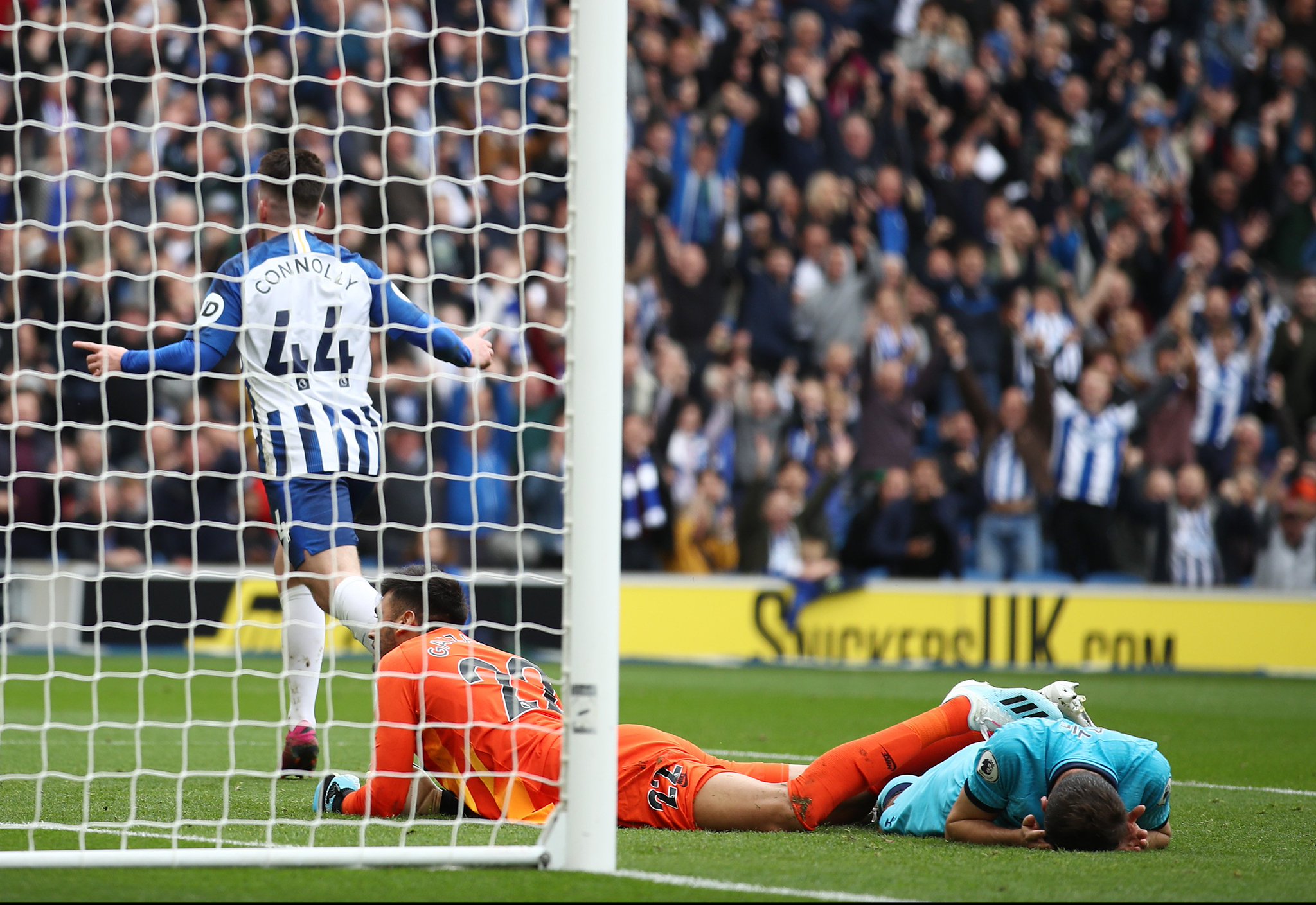 因此选择了 因此选择了